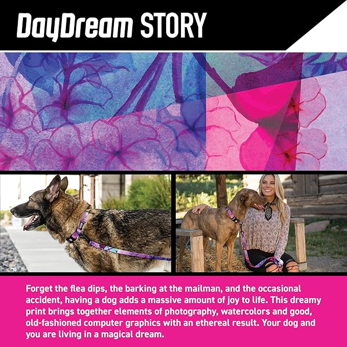 Wolfgang Heavy Duty Martingale Dog Collar with Quick Release Nylon Buckle for Walking & Training, Daydream Print, Small