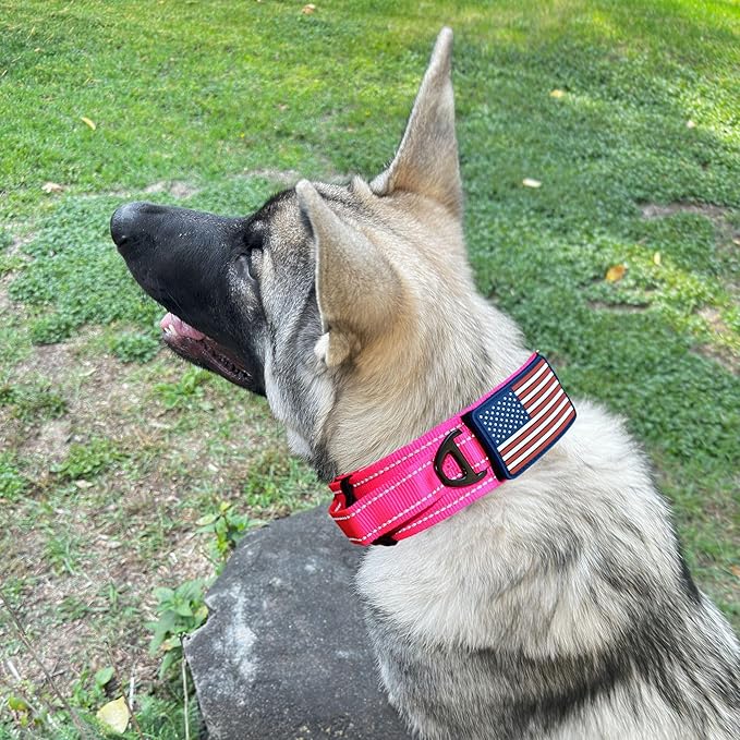 2-Inch Wide Tactical Dog Collar with Control Handle, Adjustable for Medium & Large Dogs, Military Style with Heavy-Duty Metal Buckle, USA Flag Patch & Customizable Name Plate, Training & Everyday Use