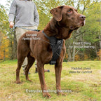 Kurgo Dog Harness | Pet Walking Harness | Small | Black | No Pull Harness Front Clip Feature for Training Included | Car Seat Belt | Tru-Fit Quick Release Style