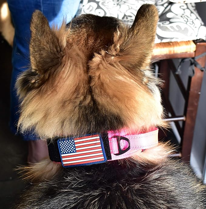 2-Inch Wide Tactical Dog Collar with Control Handle, Adjustable for Medium & Large Dogs, Military Style with Heavy-Duty Metal Buckle, USA Flag Patch & Customizable Name Plate, Training & Everyday Use