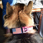 2-Inch Wide Tactical Dog Collar with Control Handle, Adjustable for Medium & Large Dogs, Military Style with Heavy-Duty Metal Buckle, USA Flag Patch & Customizable Name Plate, Training & Everyday Use