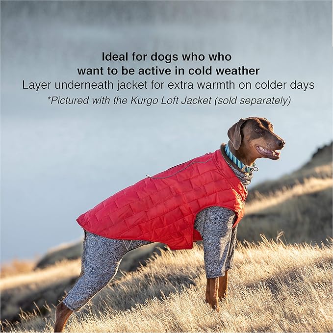 Kurgo Stowe Base Layer - Comfortable, Cold-Weather Pet Wear - Breathable Snug Fit - Dual-Zipper Dog Onesie - Reflective Side Seams - Dog Pajamas - Machine Washable - Medium - Black/Grey