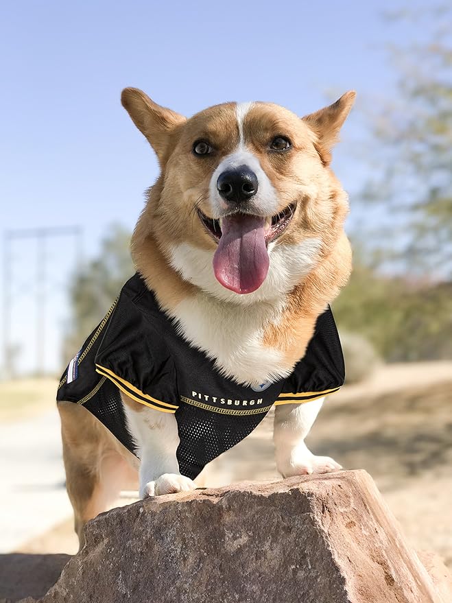 Pets First NFL Pets NFL Jerseys