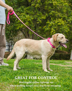 Waterproof Martingale Collar for Dogs,Easy to Clean Dog Collars with Safety Quick Release Buckle,Rubber Collar for Medium Large Dogs Walking Training (Pink, M (16.5-20.8inch))