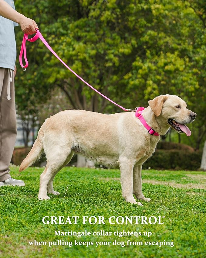 Waterproof Martingale Collar for Dogs,Easy to Clean Dog Collars with Safety Quick Release Buckle,Rubber Collar for Medium Large Dogs Walking Training (Pink, L (19.6-25.9inch))