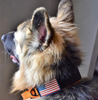 2-Inch Wide Tactical Dog Collar with Control Handle, Adjustable for Medium & Large Dogs, Military Style with Heavy-Duty Metal Buckle, USA Flag Patch & Customizable Name Plate, Training & Everyday Use