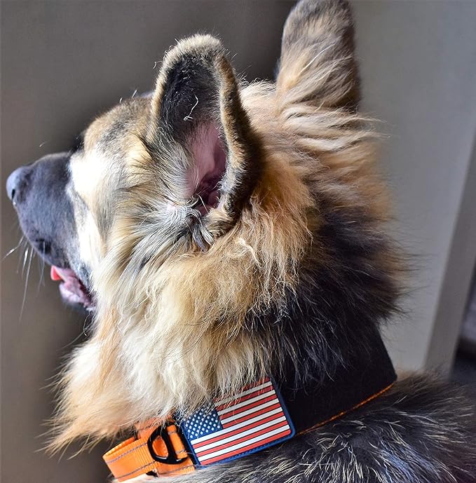 2-Inch Wide Tactical Dog Collar with Control Handle, Adjustable for Medium & Large Dogs, Military Style with Heavy-Duty Metal Buckle, USA Flag Patch & Customizable Name Plate, Training & Everyday Use