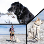 Wolfgang Heavy Duty Dog Leash, Pull-Tested for Walking & Training, NewMoon Print, Small