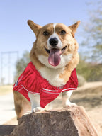 Pets First NFL Pets NFL Jerseys