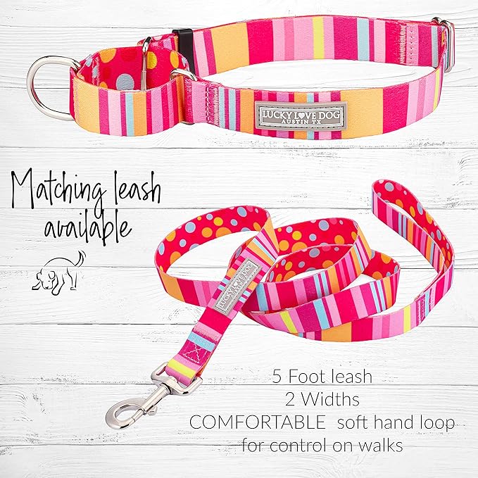 Lucky Love Dog Martingale Dog Collar - Adjustable, No-Slip, Durable, & Soft Webbing Collar for Male and Female Dogs Ideal for Training & Walking - Molly, Large