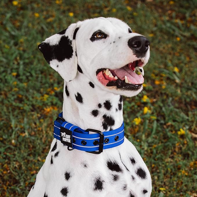 Tuff Pupper Heavy Duty Tactical Dog Collar | 1.5" Wide Ballistic Nylon | Reflective Stitching | Integrated ID Tag Holder | Stainless Steel Buckle | Padded Lining | Medium & Large Dogs (Blue, Large)