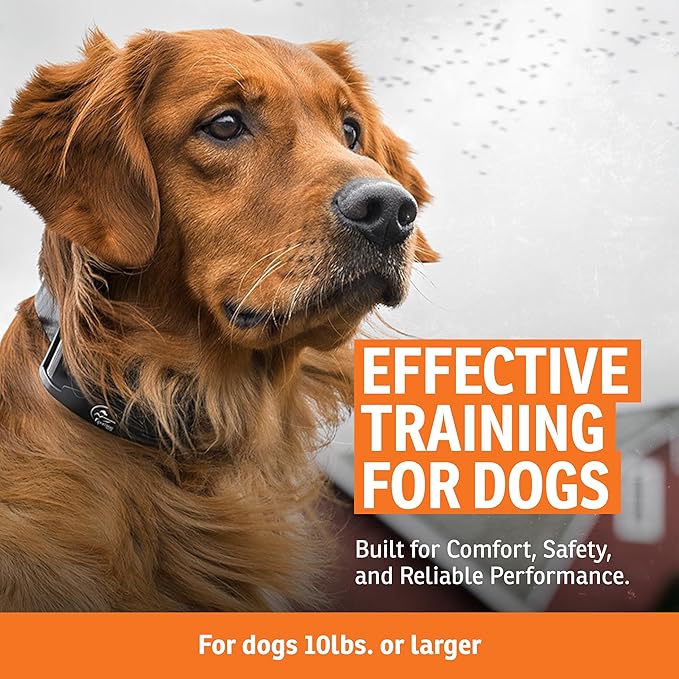 SportDOG Brand Contain + Train Add-A-Dog Collar One Size