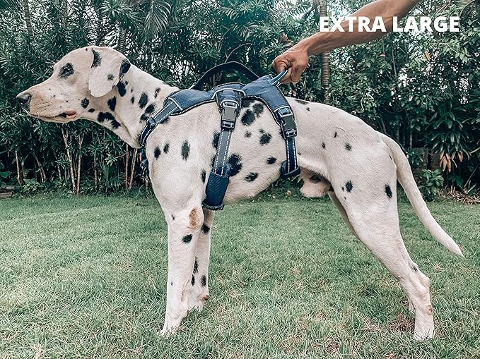 Tuff Pupper Escape Proof No Escape Dog Harness | 5 Point Adjustable Fit Harness for Dogs | Padded Dog Harnesses | Handle Dog Lift Harnesses
