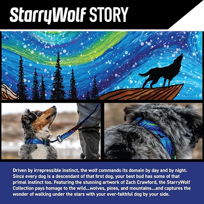 Wolfgang Heavy Duty Dog Leash, Pull-Tested for Walking & Training, StarryWolf Print, Large