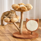 Aesthetic Flower Cat Tree Tower with Scratching Post for Indoor Cats, 30" H Modern Cat Tree with Natural Solid Wood Branch, Fluffy Cat Beds Removable & Large Scratching Board, Sunset Brown