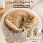 33" Modern Cat Tree for Indoor Cats, Aesthetic Natural Wood Cat Tower with Branch-Style Scratching Posts, Luxury Plush Faux Fur Cat Bed with Natural Loft, Perch & Hanging Ball, Almond Khaki