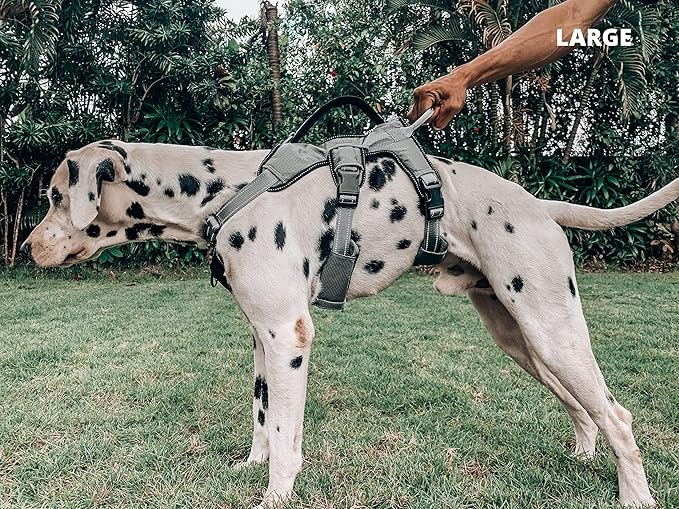 Tuff Pupper Escape Proof No Escape Dog Harness | 5 Point Adjustable Fit Harness for Dogs | Padded Dog Harnesses | Handle Dog Lift Harnesses