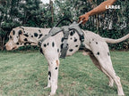 Tuff Pupper Escape Proof No Escape Dog Harness | 5 Point Adjustable Fit Harness for Dogs | Padded Dog Harnesses | Handle Dog Lift Harnesses