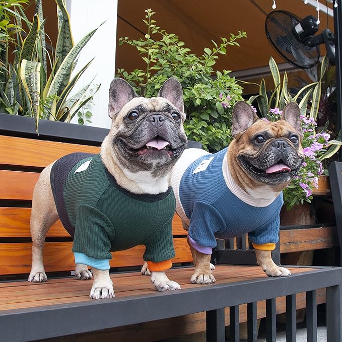 iChoue Pet Dog Crewneck Sweater Color Block Pullover Winter Warm Clothes for French Bulldog Frenchie Pug Puppy - Green and Black/Small