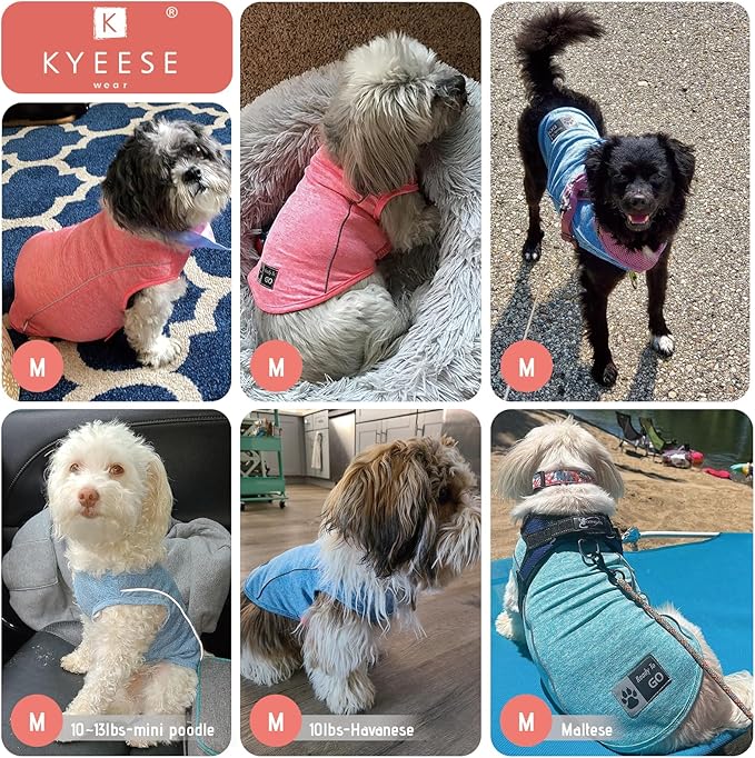 KYEESE 2Pack Reflective Dog Shirt, Lightweight Sun Protection Dog T Shirts for Small Dogs Boy, Breathable Sleeveless Pet Tank Top Summer Dogs Clothes for Night Walking Outdoor, Lake Blue+Blue, M