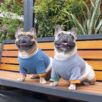 iChoue Pet Dog Crewneck Sweater Color Block Pullover Winter Warm Clothes for English Bulldog Bully Pitbull - Grey and Yellow/XLarge