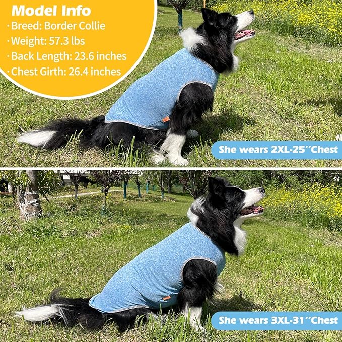 KYEESE 2Pack Dog Shirt, Lightweight Sun Protection Sleeveless Dog T Shirts for Medium Large Dogs Boy, Breathable Pet Reflective Tank Top Summer Dogs Clothes for Outdoor Walking, Grey+Light Blue, 2XL