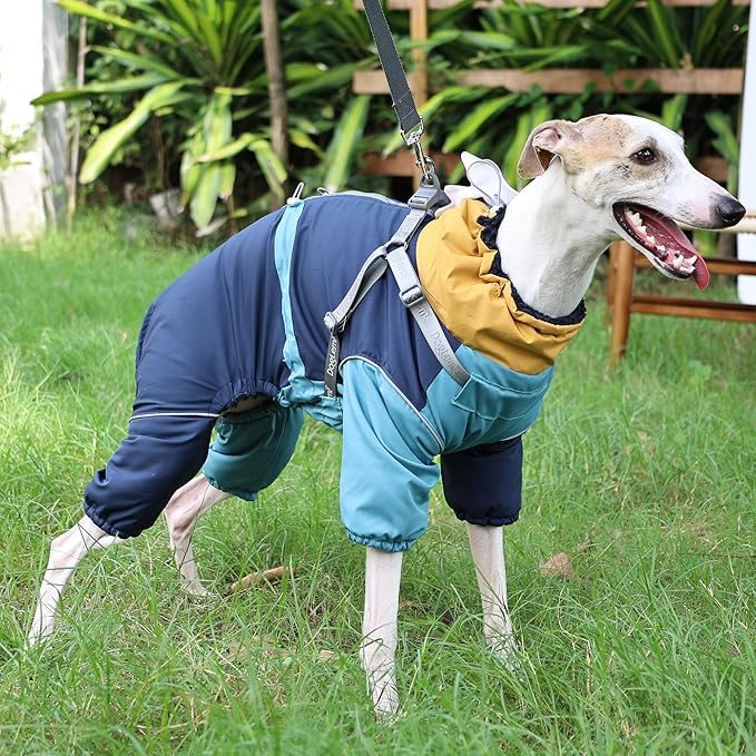 Dog Snowsuit with Built-in Harness, 4-Leg Full Body Winter Coat, Fleece Lined Puffer Jumpsuit with Back Zipper & Reflective Trim for Small Medium Large Dogs (Blue, Medium)
