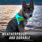 Noxgear LightHound (Large) + Wrist Light – Illuminated and Reflective Harness for Dogs Including Multicolored LED Fiber Optics (USB Rechargeable, Adjustable, Lightweight, Rainproof)