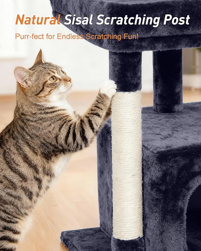 Cat Tree for Large Cat, 19 * 15.8in Large Perch Bed for Adult Cats, 23.6in Cat Tower with Scrathing Post, Cat Condo with 2-Door for Indoor Cats, Dark Gray