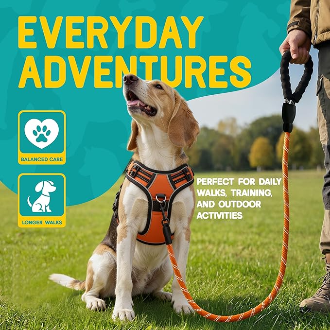 No Pull Dog Harness and Leash Set for Medium Dogs – Adjustable Reflective Breathable Soft Padded Easy Control Dog Harness for Training & Walking, Orange (Medium)