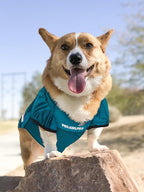 Philadelphia Eagles Mesh Dog Jersey