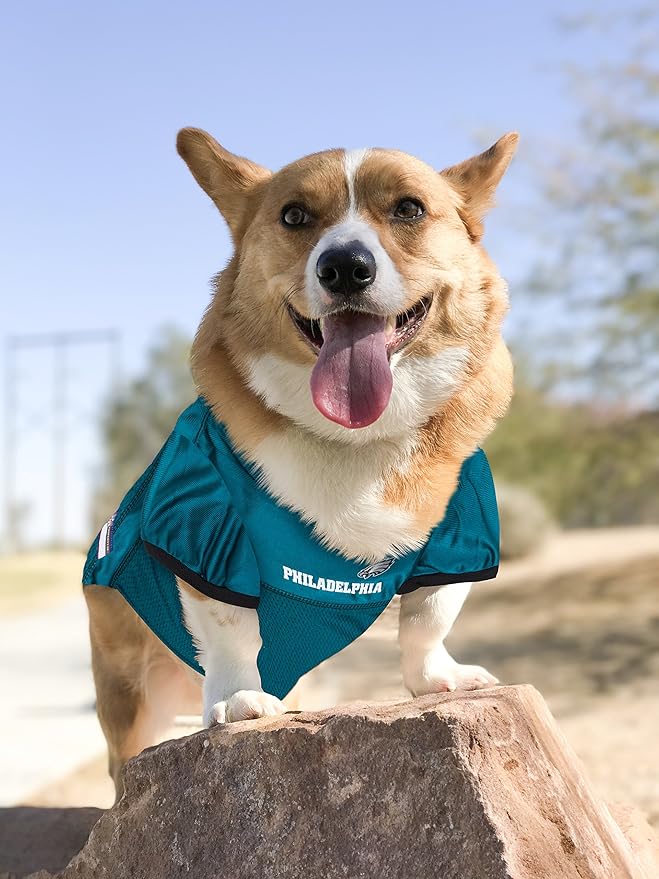 Philadelphia Eagles Mesh Dog Jersey