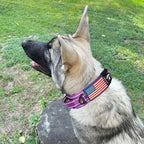 2-Inch Wide Tactical Dog Collar with Control Handle, Adjustable for Medium & Large Dogs, Military Style with Heavy-Duty Metal Buckle, USA Flag Patch & Customizable Name Plate, Training & Everyday Use