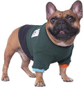iChoue Pet Dog Crewneck Sweater Color Block Pullover Winter Warm Clothes for French Bulldog Frenchie Pug Puppy - Green and Black/Small