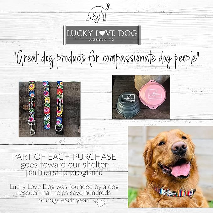 Lucky Love Dog Wide Martingale Dog Collar - No-Slip, Durable, & Soft Webbing 1.5 inch Martingale Collar for Dogs Male and Female Ideal for Training & Walking - Murphy, Large