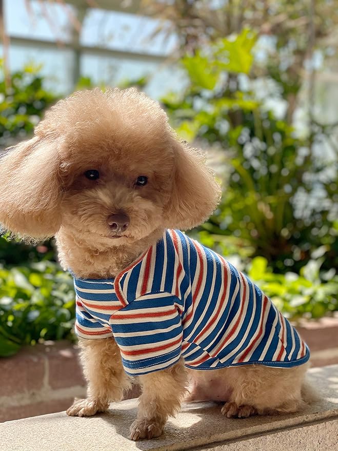 Dog Shirts Cotton Striped T-Shirt, Summer Pet Clothes for Small Dogs, 2-Pack Soft Puppy Apparel Cat Tee, Breathable Stretchy, Blue Yellow L