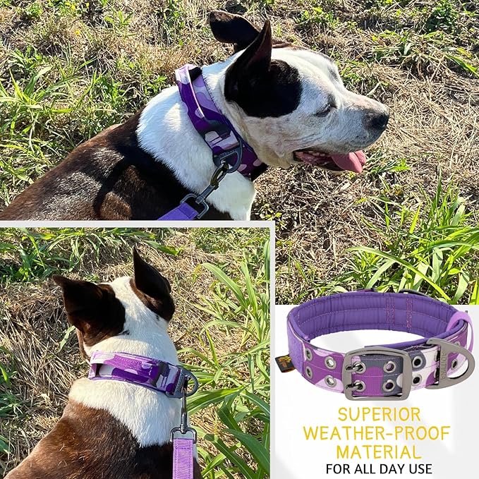 ADITYNA Heavy Duty Dog Collar for Extra-Large Dogs - Camo Purple Collar with Handle for Training, and Walking - Wide, Thick, Tactical, Soft Neoprene Padded