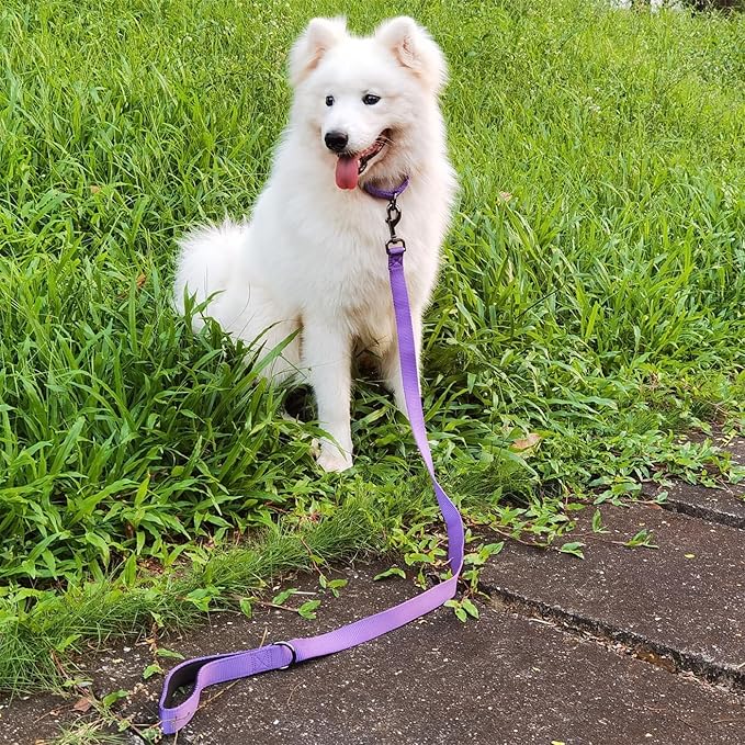 Premium Nylon Adjustable Escape-Proof Dog Collar,Soft and Silky Collar with Heavy Duty D-Ring for Medium Active Dogs Jogging,Training,etc... (Ultra Violet, Medium)