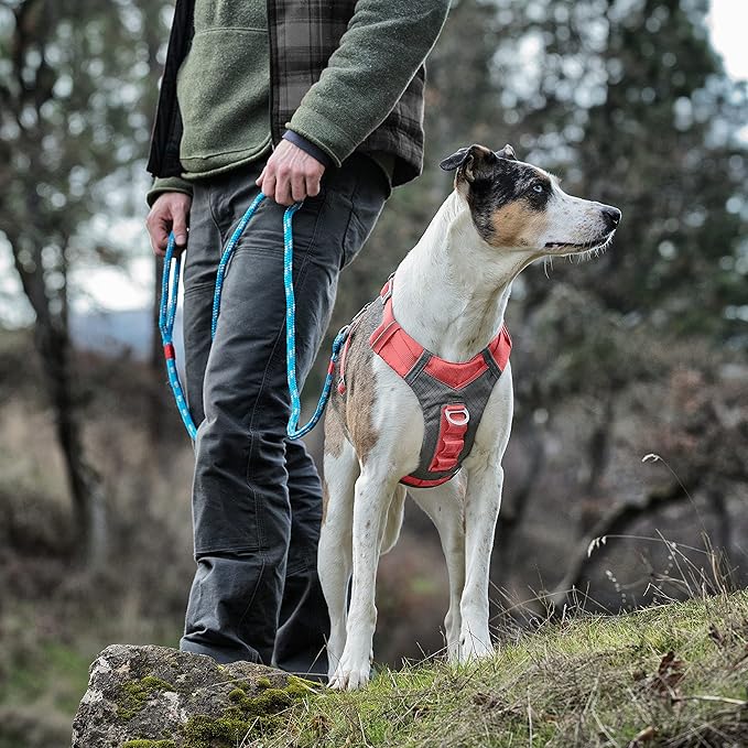 Kurgo Journey Air Dog Harness - Secure Fit for Active Dogs - Padded Chest - Lightweight Ripstop Fabric - Breathable Mesh - Reflective Trim - Back Assist Handle - Coral - Medium