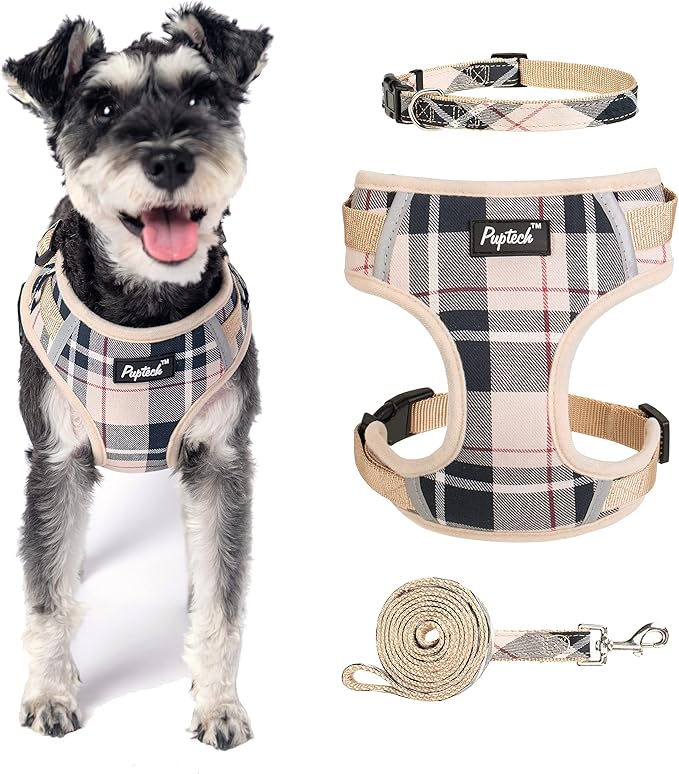 PUPTECK Small Dog Harness and Leash Set, No Pull Adjustable Puppy Cat Harness, Reflective Soft Mesh Pet Vest Small Sized, Beige Plaid, M