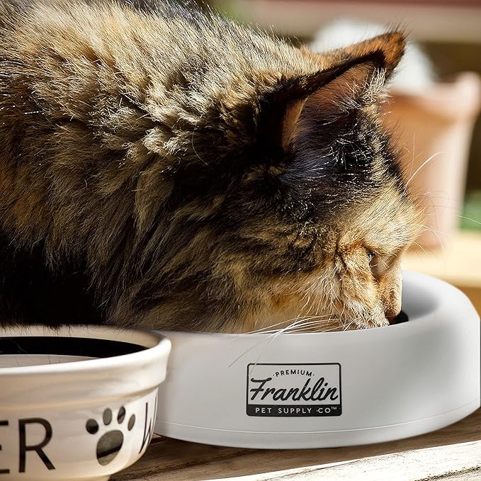 Franklin Pet Supply Co. Spill Proof Pet Bowl - No Splash Travel Water + Food Dish for Dogs + Cats - Portable - 16 oz. - BPA Free