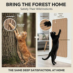Self-Adhesive Cork Cat Scratcher Mat, 40x12 Inch Cut to Size, Long-Lasting Durable Cat Scratching Pad for Couch, Natural Furniture Protector for Indoor Cats