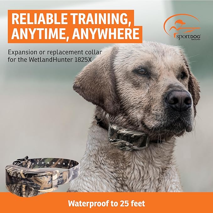 SportDOG WetlandHunter 1825X Add-A-Dog Collar - Expand Your Training System - Waterproof Static Shock Collar - Quick Charge - Realtree Max-5 Camo