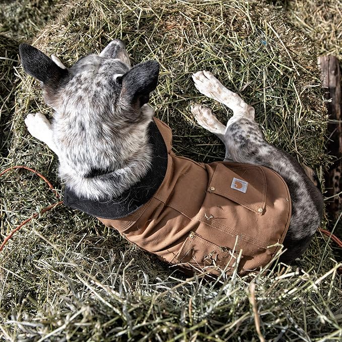 Carhartt Gear P0000340 Firm Duck Insulated Dog Chore Coat Small Army Green