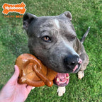 Nylabone Pretzel Power Chew Toy for Dogs, Dog Toys for Aggressive Chewers, Bacon & Peanut Butter Flavor, X-Large Dogs - 50+ lbs, 1 Count