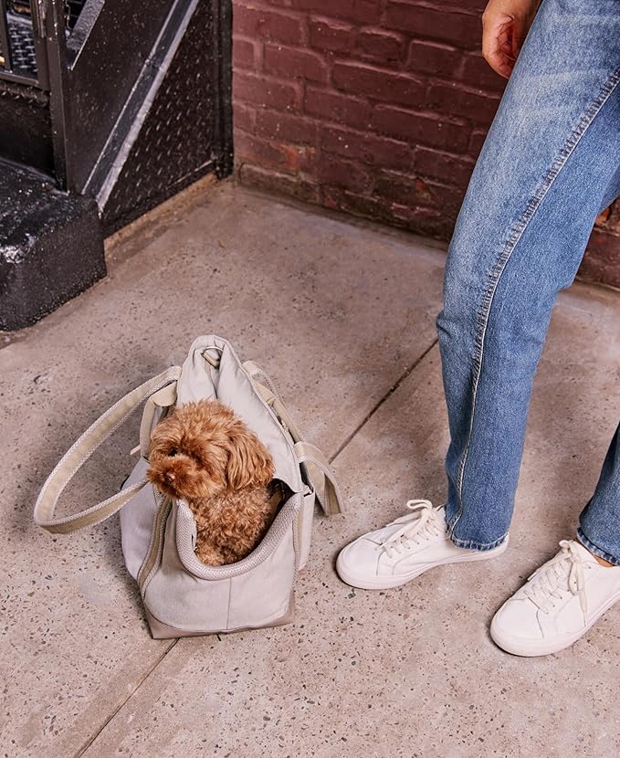 Cleverpup Transit Tote Dog Carrier for Small Dogs up to 8 lbs, 16x11x8 Soft-Sided 4-Pc Set with Waterproof Base, Plush Insert, Food Pouch, Mesh Head Opening - Small, Sand