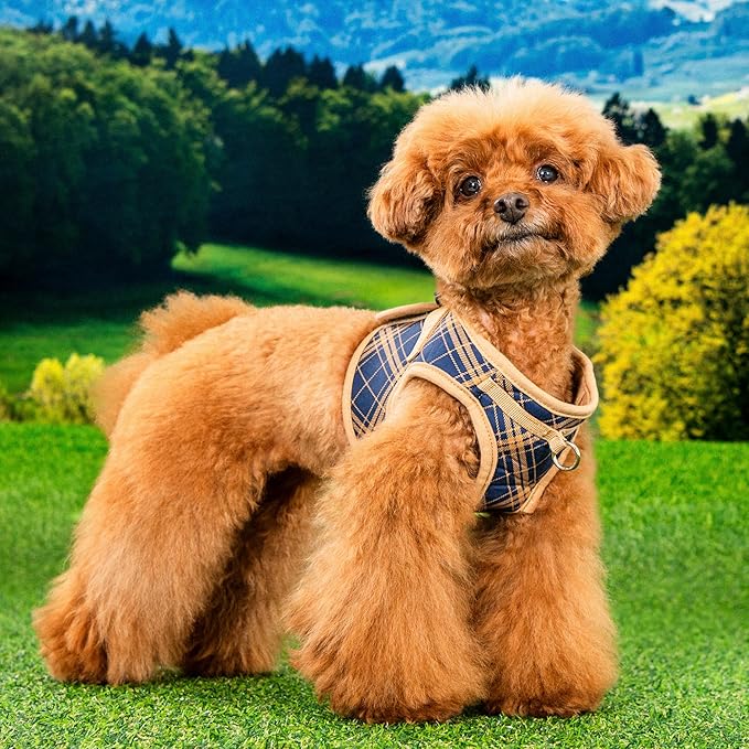 Puppia Corwin Dog Vest Harness B (Step-in) Fashionable Checkered Pattern Spring Summer Harness for Small and Medium Dogs, Navy, Large