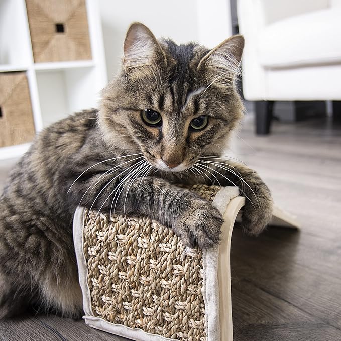 Petlinks Sea Ramp Seagrass Angled Cat Scratcher, Catnip Included - Randomly Selected Color, One Size