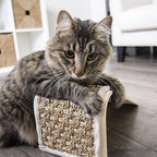 Petlinks Sea Ramp Seagrass Angled Cat Scratcher, Catnip Included - Randomly Selected Color, One Size