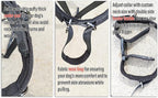 No-Pull Dog Headcollar – Stops Sudden & Constant Pulling on the Leash, Gentle & Effective Training Collar for Large & Small Dogs – No Choking or Pinching, Comfortable & Safe for Peaceful Walks (S)